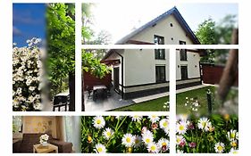 Daisy - Sunny Flowers Apartments