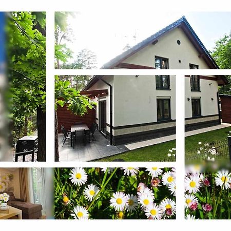 Daisy - Sunny Flowers Apartments Łukęcin Exterior foto
